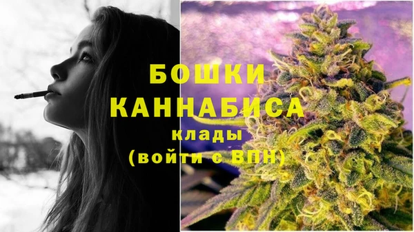 PSILOCYBIN Верхний Тагил
