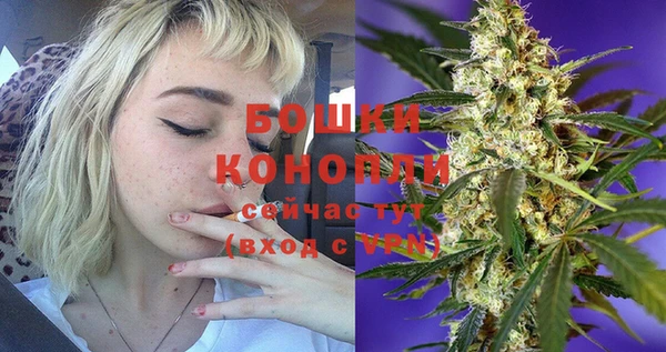PSILOCYBIN Верхний Тагил