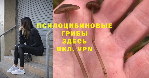PSILOCYBIN Верхний Тагил