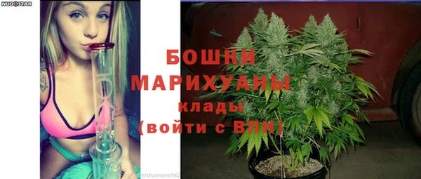 PSILOCYBIN Верхний Тагил