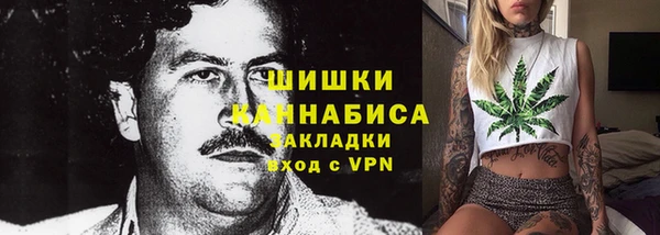 PSILOCYBIN Верхний Тагил