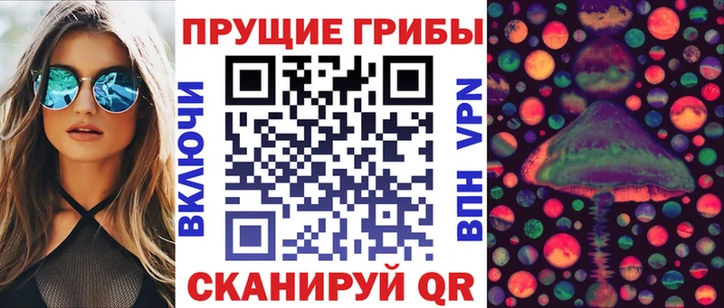 Псилоцибиновые грибы GOLDEN TEACHER Химки